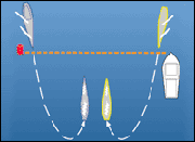 America's Cup - Rules and Tactics